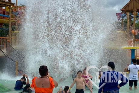 Blue Park Foz do Iguaçu - Dia Internacional da Pessoa com Deficiência, 3 de dezembro